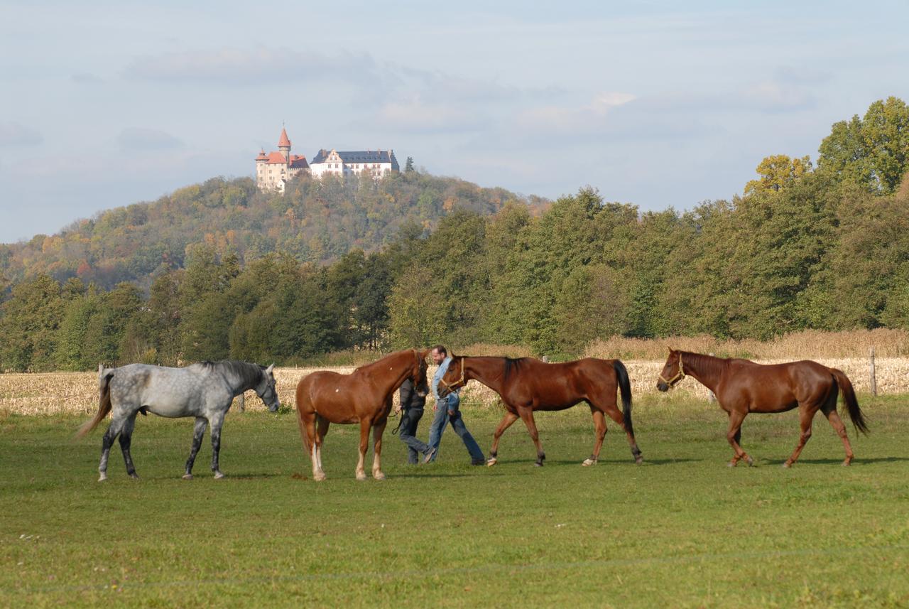 Land- Und Aktivhotel Altmuehlaue Bad Rodach Exteriér fotografie